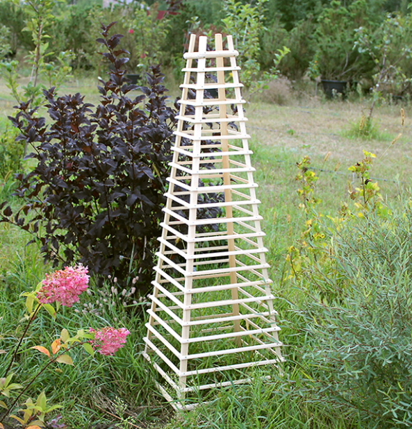 Опора для плетущихся 