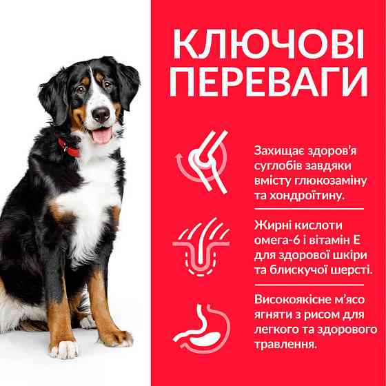 Hills Science Plan Canine Adult Large Breed Lamb&Rice (Хіллс Ягня) корм для собак 1-5 років великих порід 25+14 кг. Запоріжжя