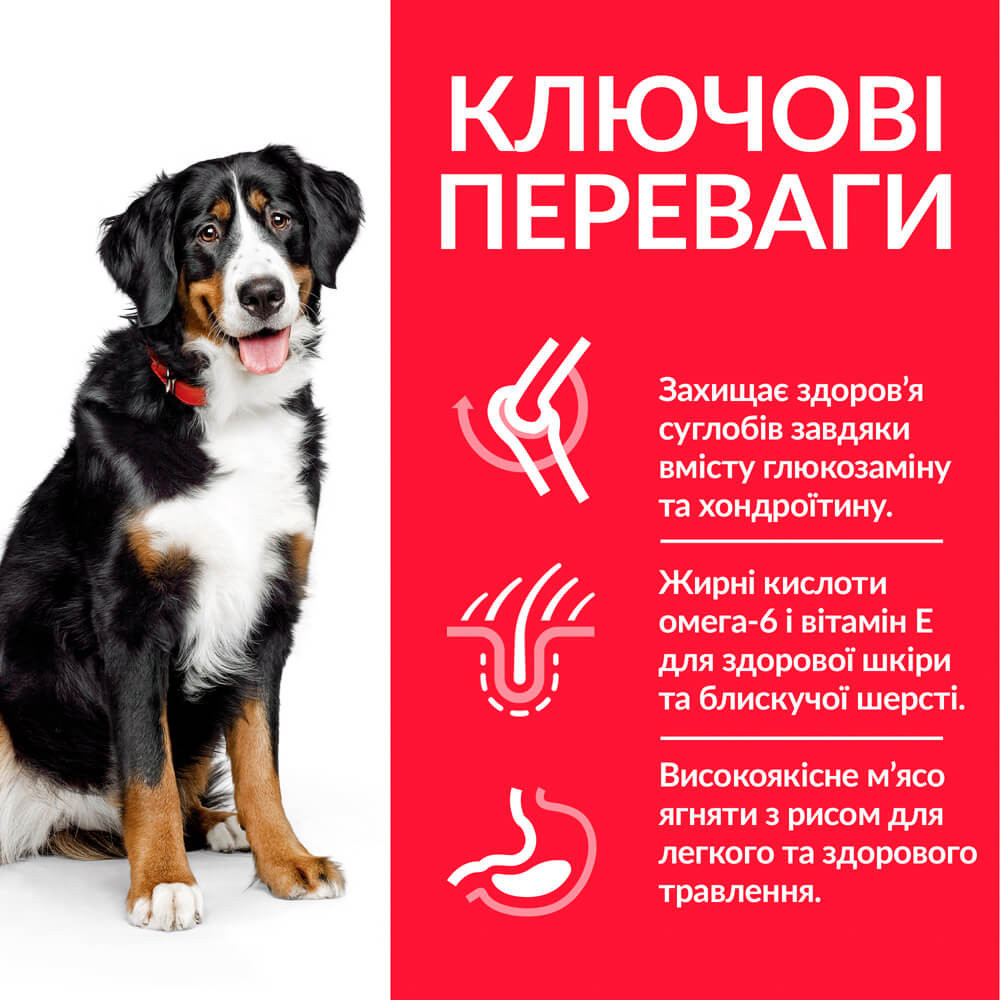 Hills Science Plan Canine Adult Large Breed Lamb&Rice (Хіллс Ягня) корм для собак 1-5 років великих порід 25+14 кг. Запоріжжя - фото 3