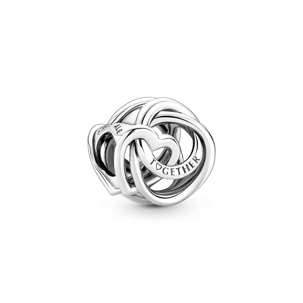 Шарм Пандора Семья всегда 791507C00MasterSem Киев - изображение 2