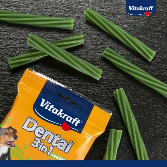 Лакомство для собак весом 5 - 10 кг Витакрафт Vitakraft Dental Stick 3in1 FRESH вкусные палочки для ухода за зубами с мятой, 120 г Винница