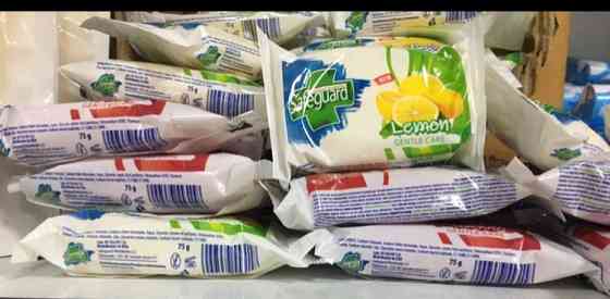 🧼 Мило Safeguard Gentle Care 75 г Антибактеріальний захист + Дбайливий догляд Київ