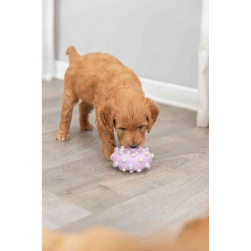 Игрушка Trixie Кольцо игольчатое для собак, d:8 см (латекс) Винница - изображение 3