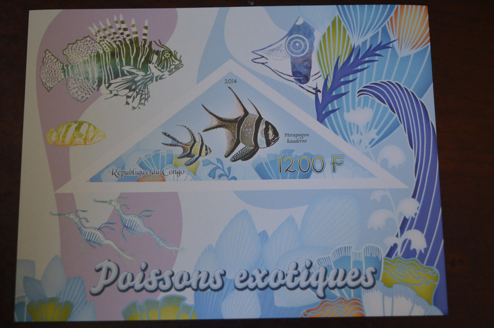 Конго. Фауна. Личности. Блок. 2014 р. (А-34) Полтава - фото 1