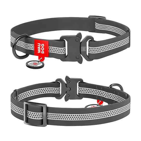 Ошейник для собак водостойкий WAUDOG Waterproof QR-паспортом, светоотражающий, металлическая пряжка-фастекс, XL, Ш 25 мм, Д 38-58 см, серый Киев