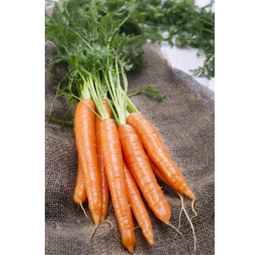 Морква Королева осені 20гр Смачний Житомир