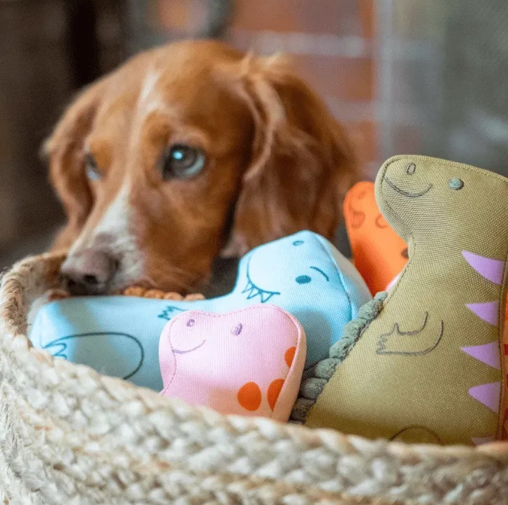 М'яка іграшка для собак Beco Pets Т-Рекс Блакитний M Луцк - изображение 4