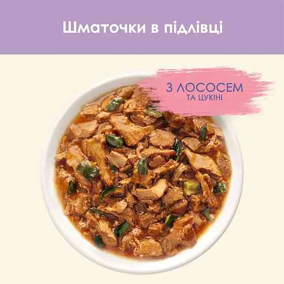 Вологий корм CAT CHOW Sensitive для дорослих котів із чутливою системою травлення, шматочки у підливці, з лососем та цукіні, 85 г Київ