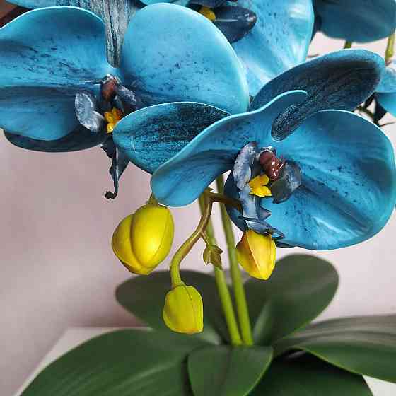 Штучна латексна орхідея VIP в синьому керамічному кашпо на дві гілки синя Дніпро