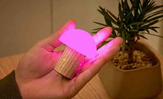 Светильник на аккумуляторе Gingko Alice Mushroom Lamp Mini Белый пепел Киев