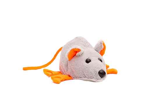 Мягкая игрушка Алина Мышка серая 22 см Киев