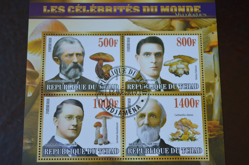 Чад. История. Личности. Блок. 2015 год (Б-4) Полтава - изображение 1