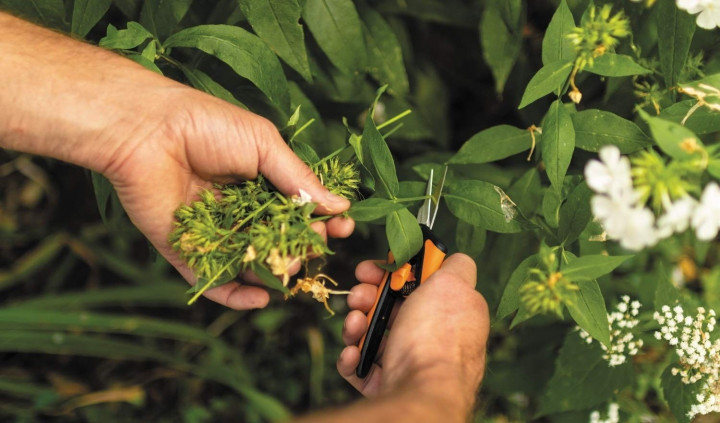 Ножиці універсальні Fiskars Solid™ Micro-Tip SP13 (1051600) Нововолинськ - фото 9