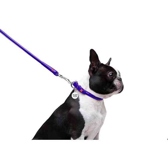 Повідець для собак шкіряний WAUDOG Glamour круглий, Д 8 мм, Дов 122 см фіолетовий Коломия