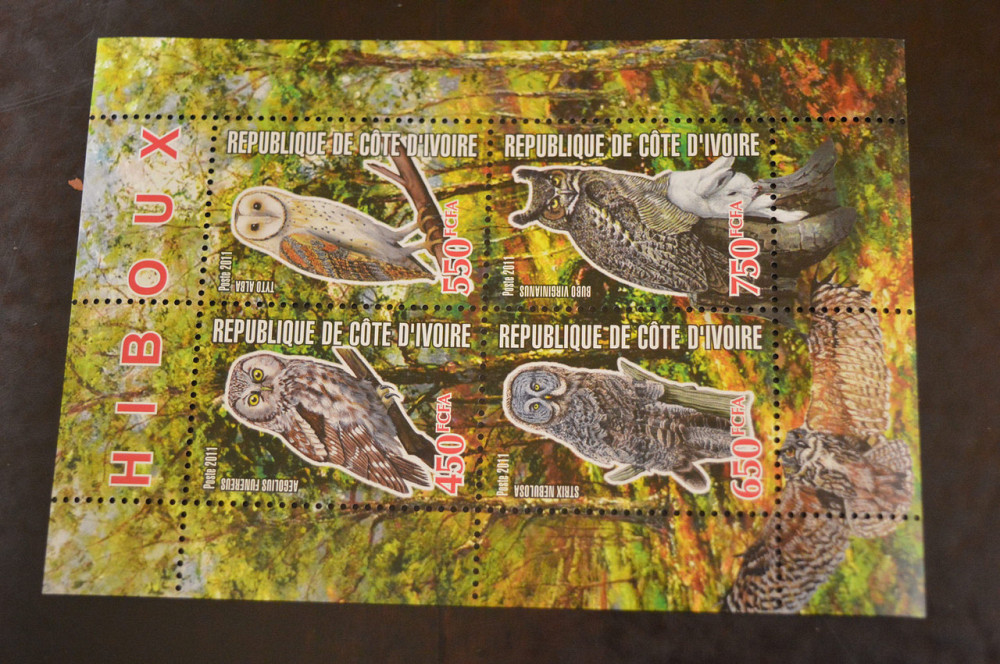 Кот-д’Ивуар. Фауна. Блок. 2014 год (А-20) Полтава - изображение 1