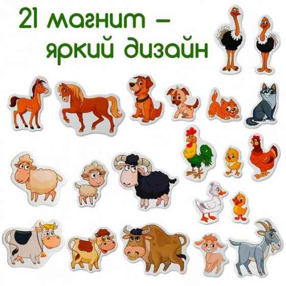 Набор магнитов Magdum 