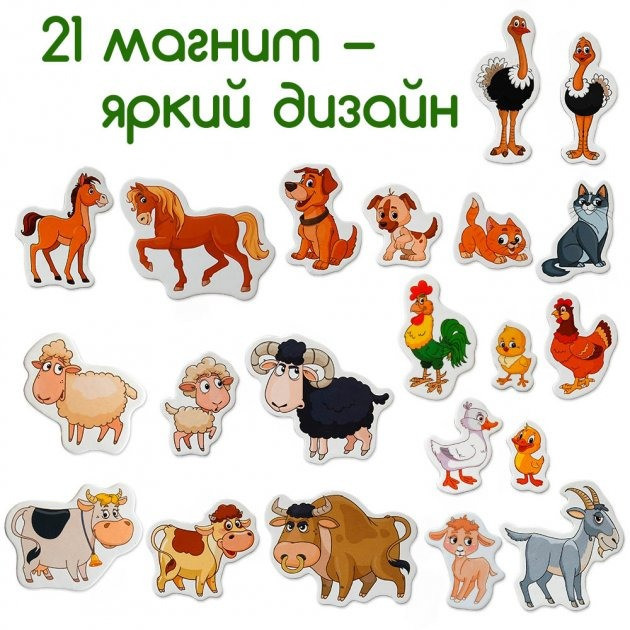 Набор магнитов Magdum 