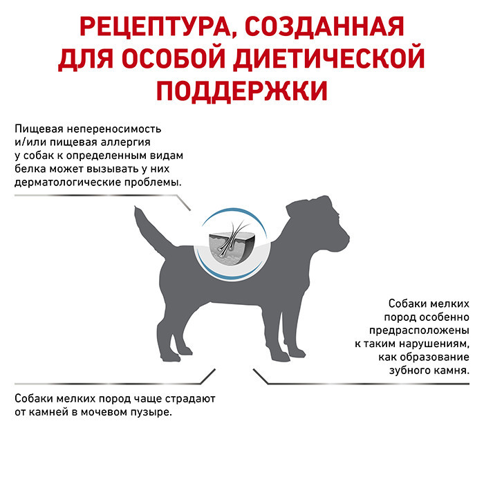 Royal Canin Hypoallergenic Small Dog (Роял Канін Гіпоалердженік Смол Дог) корм для собак до 10 кг у разі алергії Запоріжжя - фото 3