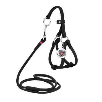 Шлей для собак WAUDOG Glamour с поводком круглая Д 6 мм А 42-60 см В 46-64 см черная (34021) Винница