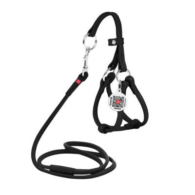 Шлея для собак WAUDOG Glamour з повідцем кругла Д 6 мм А 42-60 см В 46-64 см чорна (34021) Вінниця - фото 1