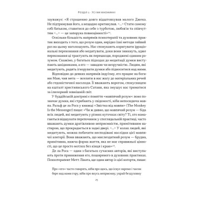 Книга Немає поганих частин. Як відновити цілісність і вилікуватися від травм - Річард Шварц Наш Формат (9786178277505) Винница - изображение 11