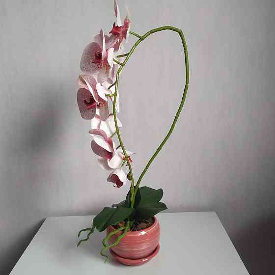 Штучна латексна орхідея VIP в рожевому керамічному кашпо на одну гілку біло-рожева Дніпро