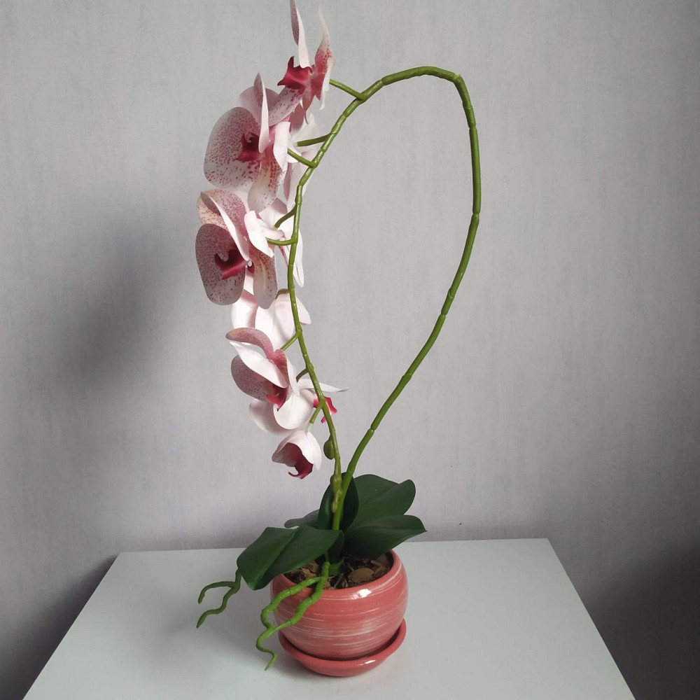 Штучна латексна орхідея VIP в рожевому керамічному кашпо на одну гілку біло-рожева Дніпро - фото 4