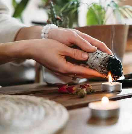 Калифорнийский белоснежный шалфей для окуривания (White Sage) пучок 10 см. Киев