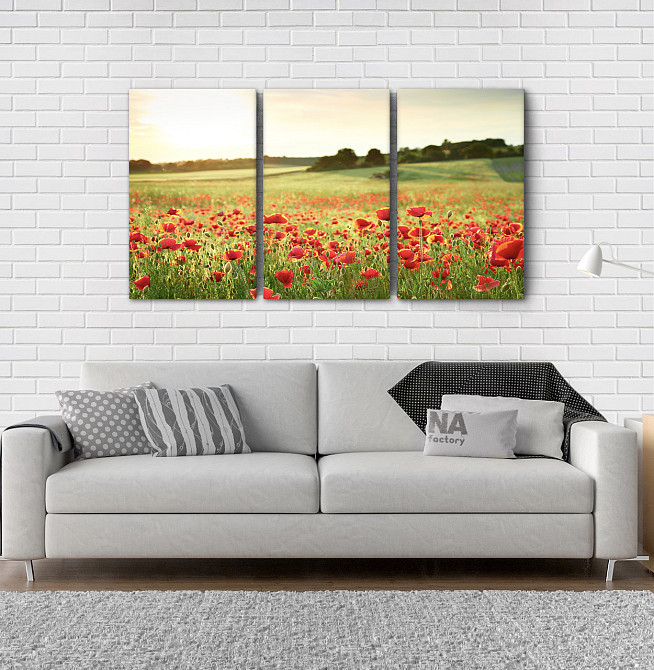 Модульная картина Поле Маки Аrt-187_3А Киев - изображение 2