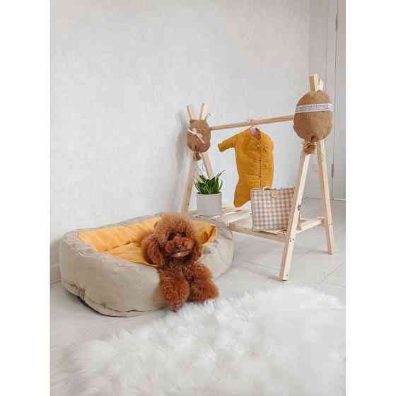 Лежак для собак і кішок Incor Donut жовтий M (65см) Київ