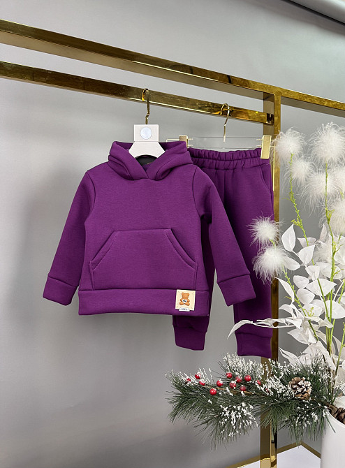 Дитячий теплий спортивний костюм для дівчаток 3нитки фліс 92,98,104,110 Миколаїв - фото 1