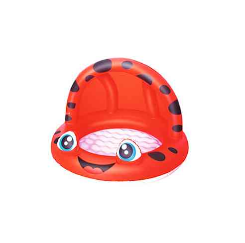 Детский надувной бассейн BW 52189 с надувным дном Божья коровка Винница