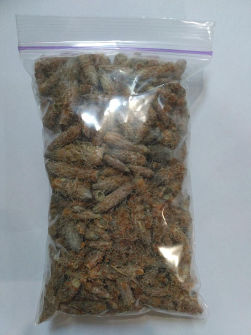 Бруньки сосни (Почки сосны) 100г master sem Киев - изображение 2
