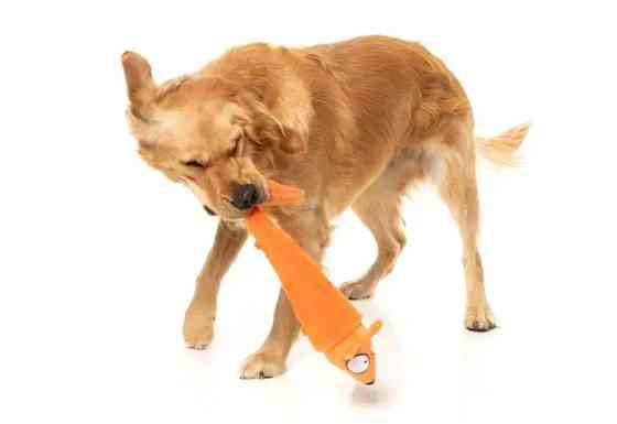 М'яка іграшка для собак FuzzYard Лисичка Фокс Луцк