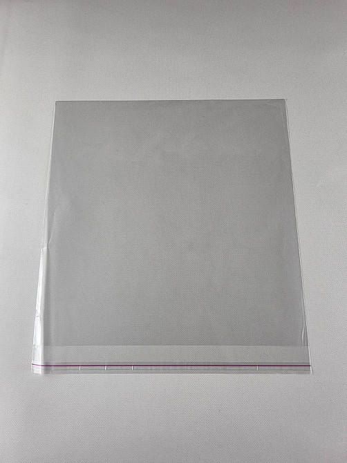 Пакет з еврослотом і клейовим клапон 31см 32,5 см 25мк (1000 шт) Харків - фото 1