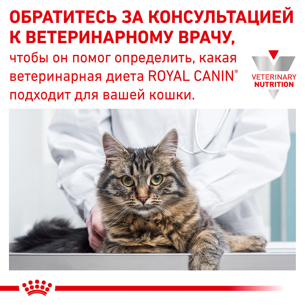 Royal Canin Gastrointestinal Moderate Calorie (Роял Канін Гастроінтестинал) вологий корм для кішок для шлунково-кишкового тракту 0.085 кг. х 12 шт. Запоріжжя - фото 8
