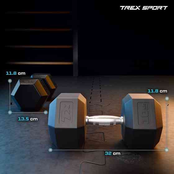 Гантеля шестигранна прогумована TX-100RD Trex Sport 10кг Киев