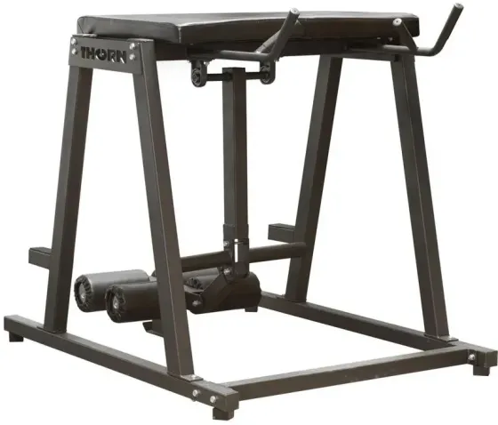 Тренажер Thorn+Fit Лавка Reverse Hyper Киев