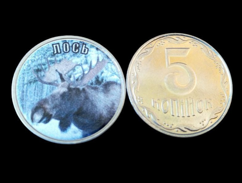 Україна 5 копійок монета нової серії ПРИРОДА УКРАЇНИ ЛОСЬ Полтава - фото 1