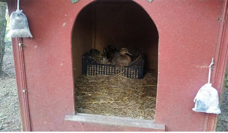 Відлякувач куниць KUNAGONE Польща Київ - фото 7