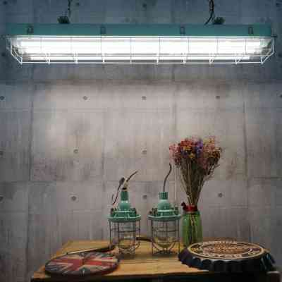 Лампочка EVROLIGHT L-1500 6400K 24Вт G13 T8 Винница