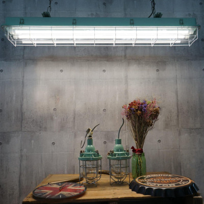 Лампочка EVROLIGHT L-1500 6400K 24Вт G13 T8 Вінниця - фото 4