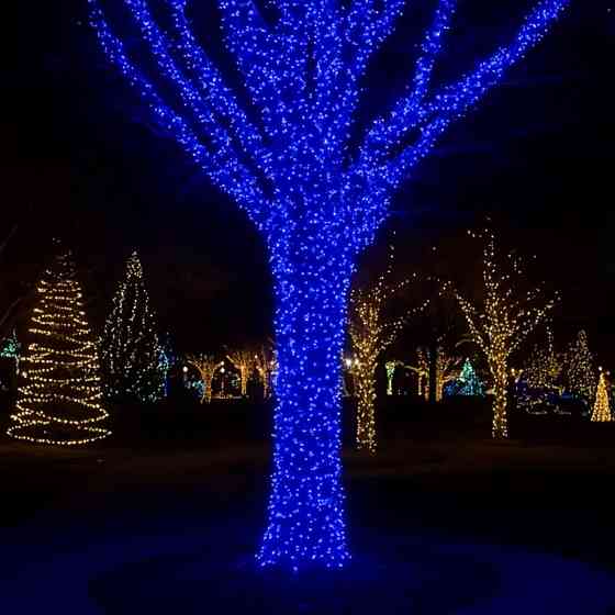 Гірлянда Різдвяна фея вулична 100 (м) 1000 LED чорний провід Синій CF1000L100MBBL Київ