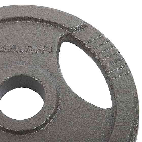 Блин (диск) стальный с хватом 5 кг d-52мм Zelart-7791-5 Киев