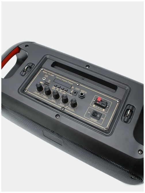 Портативная акустическая колонка RX-6248 с микрофоном и пультом Киев - изображение 9