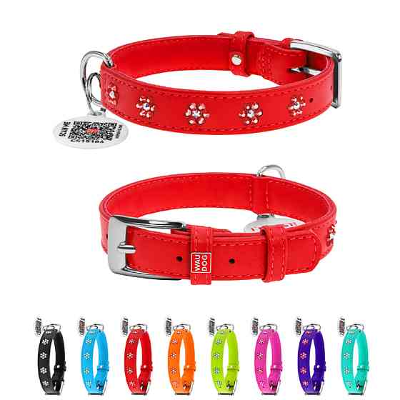 Нашийник для собак шкіряний WAUDOG Glamour з QR паспортом, з клейовими стразами "Квіти", Ш 20 м Коломыя
