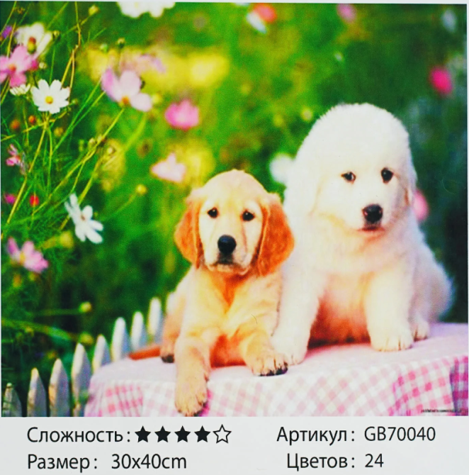 Алмазна мозаїка TK Group розмір 30х40см Цуценята (GB 70040) Чернигов - изображение 1