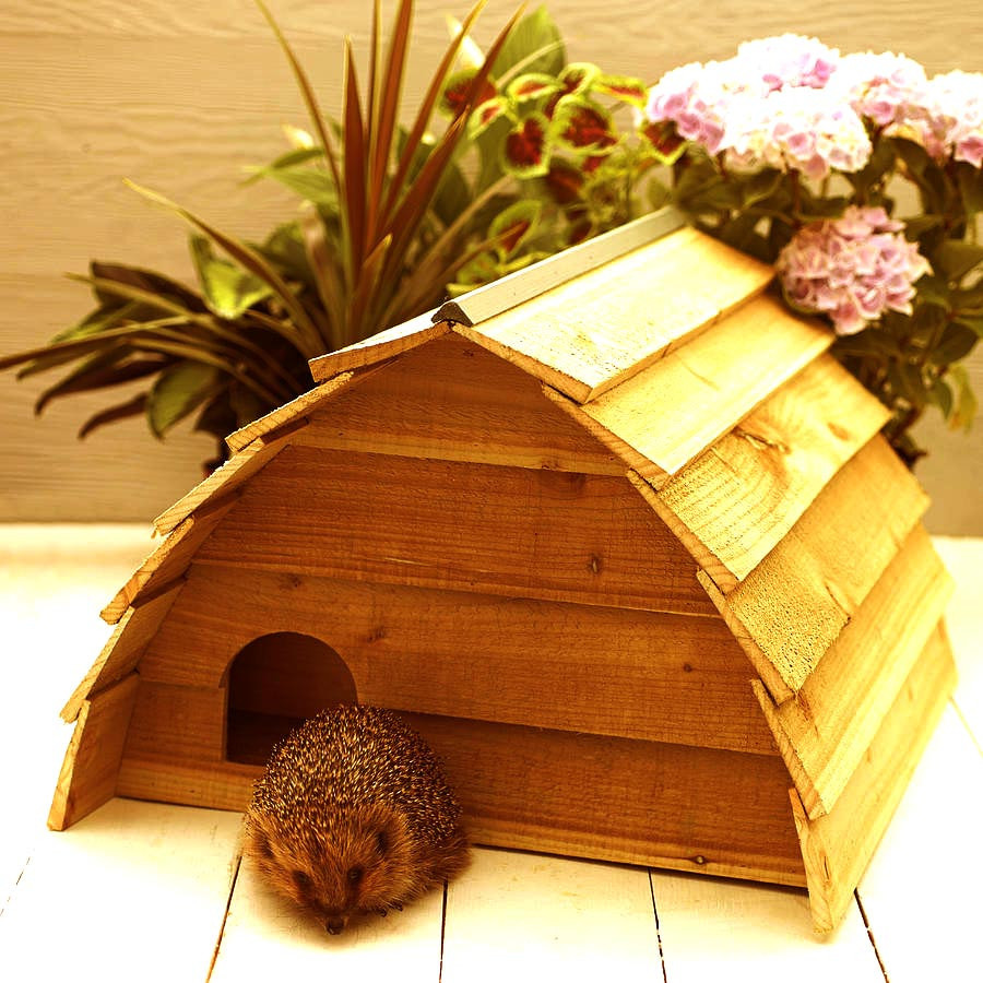 Будиночок для їжачків "Боня" сієна Миколаїв - фото 1