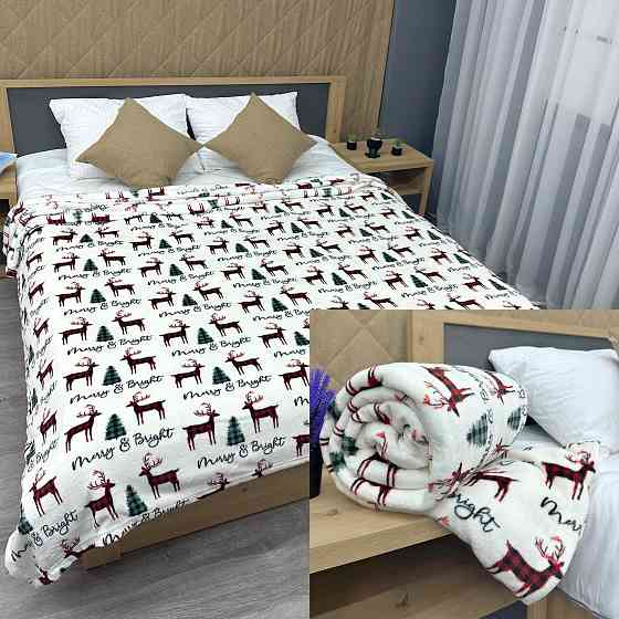 Плед-покривало 200х220 см з різдвяним принтом Різнобарвний (87-337) Київ