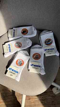 Набір шкарпеток із фото хатнього вихованця 3 пар Чорний, 36-40 Чернівці